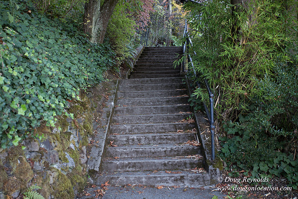 27-Stairs PDXZ Portland; OR Oregon