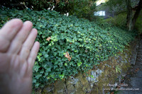 27-Stairs PDXZ Portland; OR Oregon