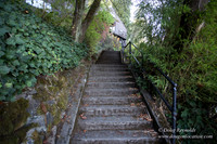 27-Stairs PDXZ Portland; OR Oregon