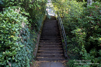 27-Stairs PDXZ Portland; OR Oregon