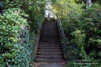 27-Stairs PDXZ Portland; OR Oregon