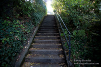27-Stairs PDXZ Portland; OR Oregon