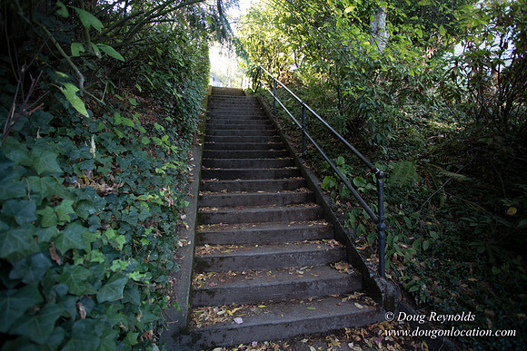 27-Stairs PDXZ Portland; OR Oregon