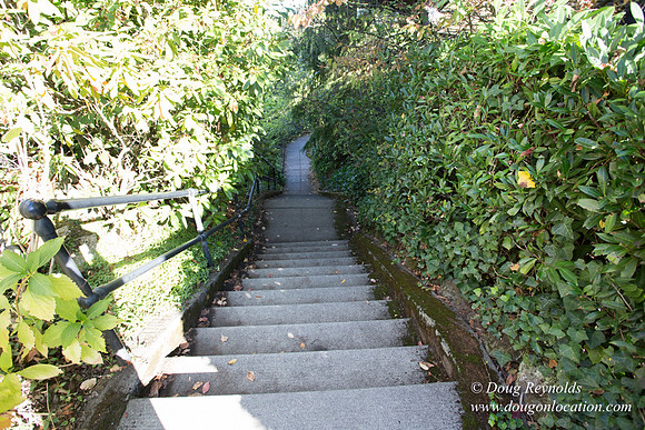 27-Stairs PDXZ Portland; OR Oregon