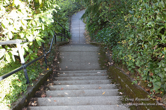 27-Stairs PDXZ Portland; OR Oregon