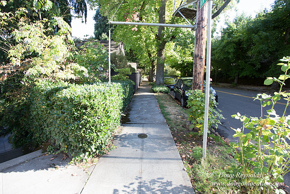 27-Stairs PDXZ Portland; OR Oregon