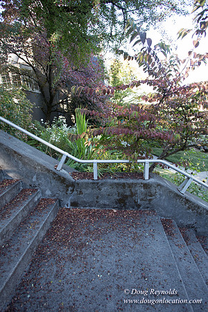 26-Stairs