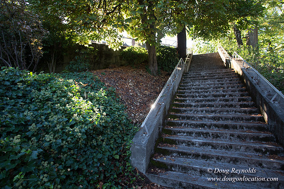 26-Stairs