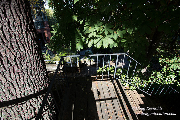 26-Stairs
