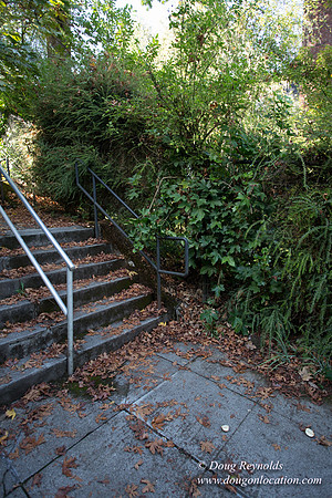 25-Stairs