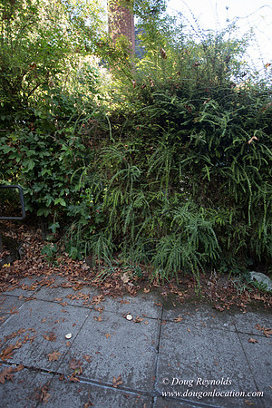 25-Stairs