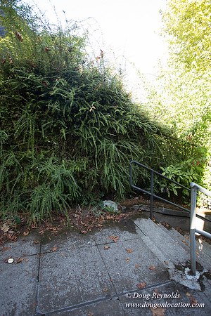 25-Stairs