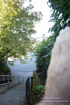 25-Stairs
