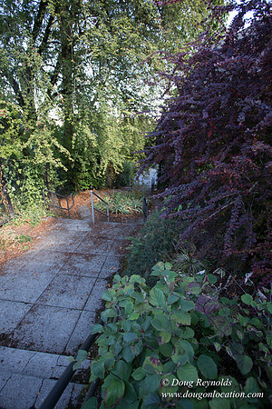 25-Stairs