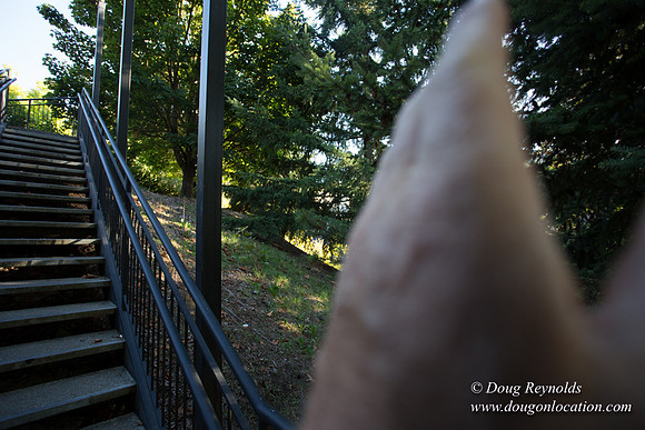 22-Stairs