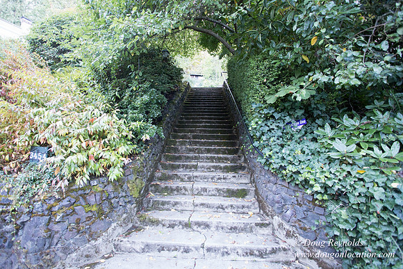 21-Thurman Stairs