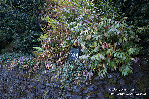 21-Thurman Stairs