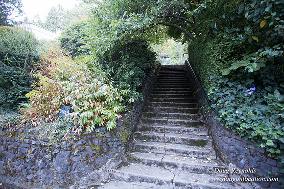 21-Thurman Stairs