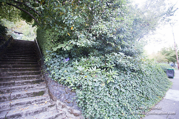 21-Thurman Stairs
