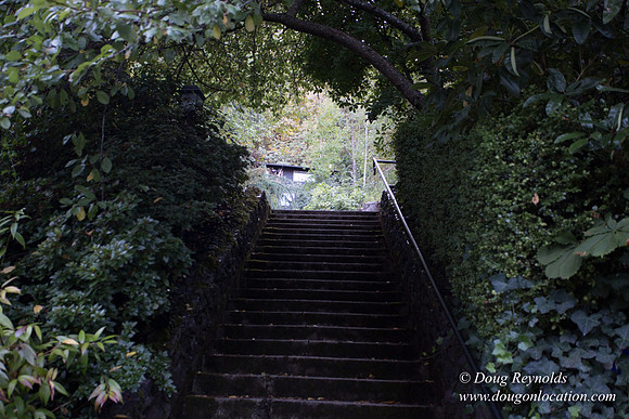 21-Thurman Stairs