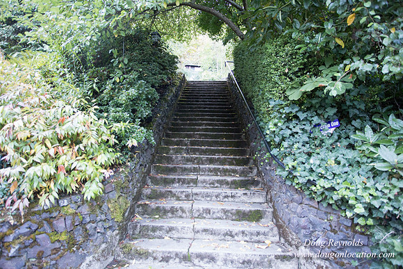 21-Thurman Stairs