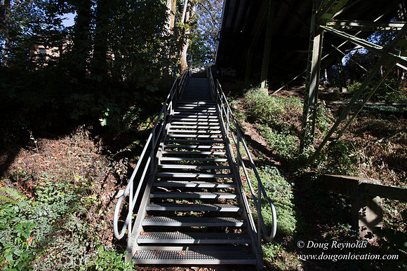 20-Stairs PDXZ