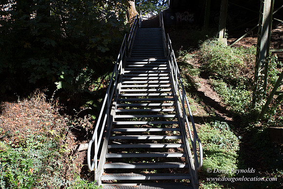 20-Stairs PDXZ