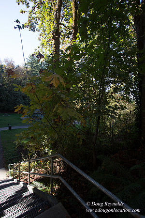 20-Stairs PDXZ