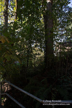 20-Stairs PDXZ