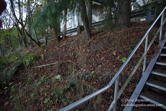 19-Stairs