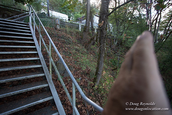 19-Stairs