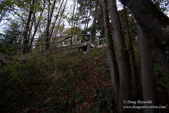 19-Stairs