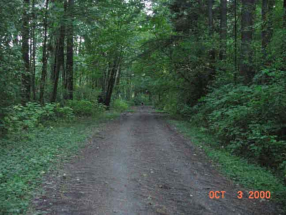 Forest Park