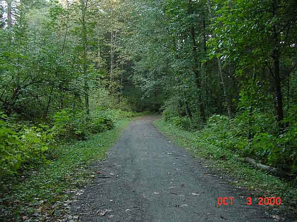 Forest Park