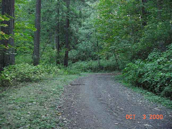 Forest Park