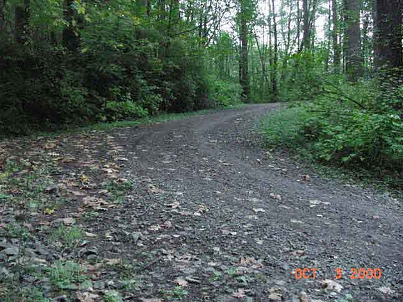 Forest Park