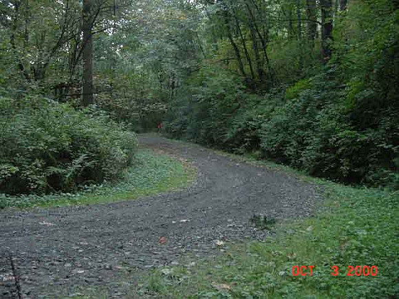 Forest Park