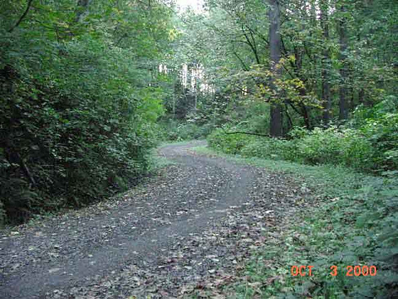 Forest Park