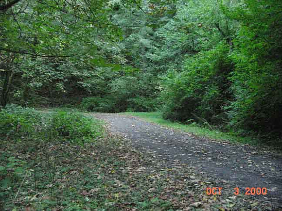 Forest Park