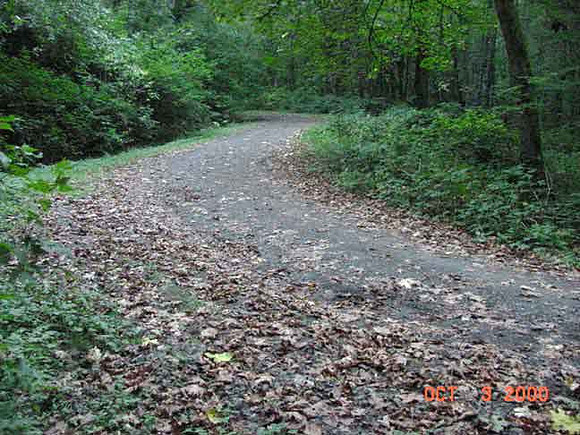 Forest Park