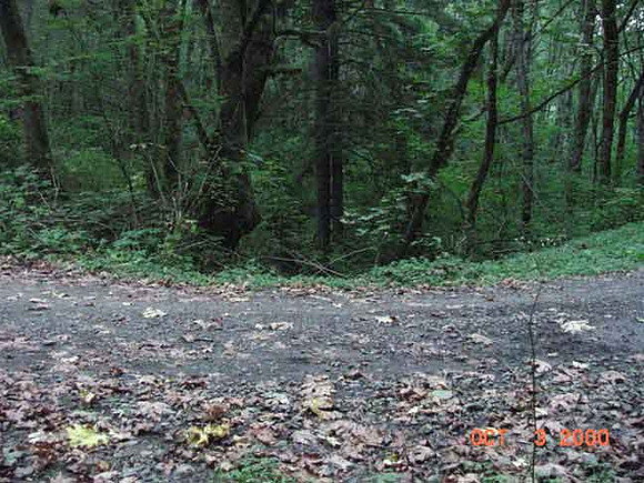 Forest Park