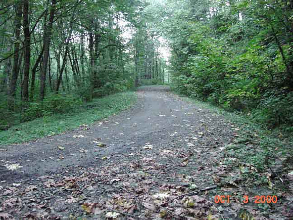 Forest Park