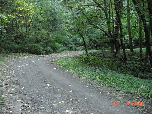 Forest Park