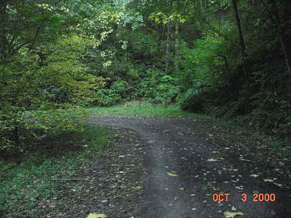 Forest Park