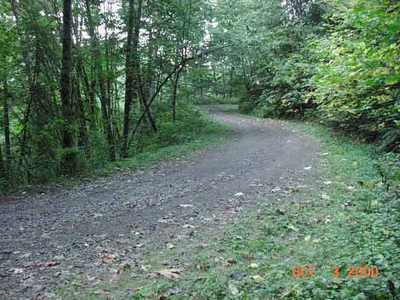 Forest Park