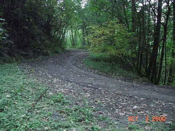 Forest Park
