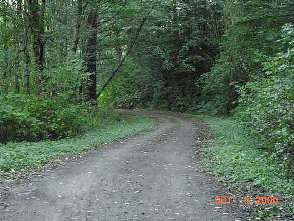 Forest Park