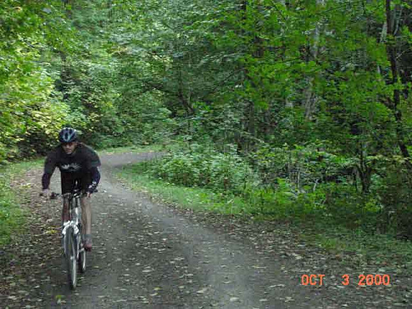 Forest Park