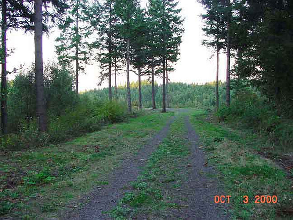 Forest Park