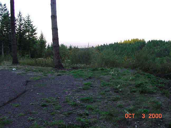 Forest Park